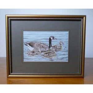 Cash's of Coventry Minatare Silk Woven Picture Framed - Canada Goose and Young
